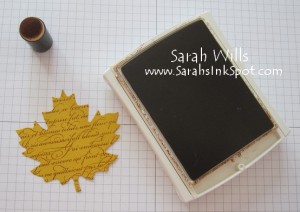 sarahsinkspot-spongingleaves-1