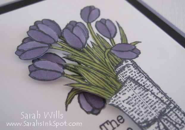 wisteria-flowers-closeup