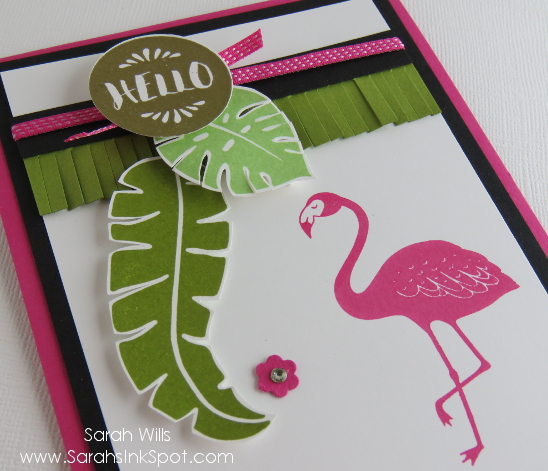 Bold Flamingo for a Pop of Paradise… – Sarahs Ink Spot