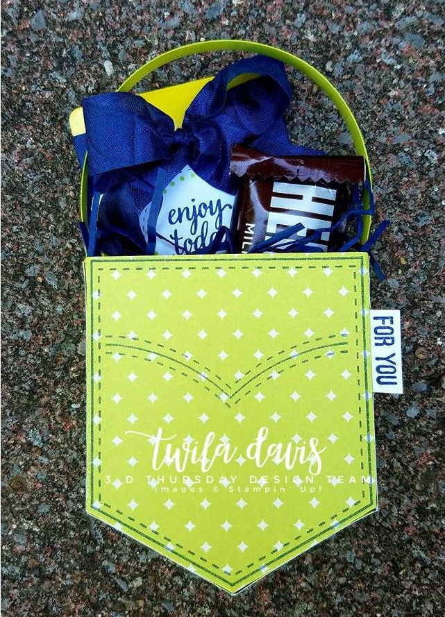 3-D-Pocket-Fun-Project-Twila-Davis-front