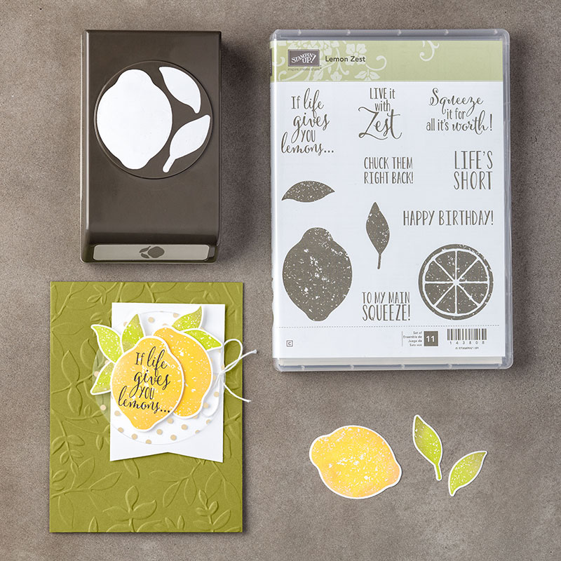 Stampin-Up-Lemon-Zest-Bundle-Sarah-Wills-Sarahsinkspot-Stampinup-