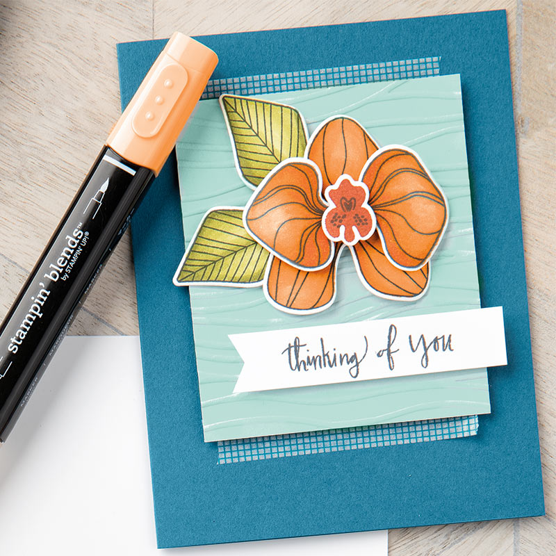 New Stampin' Blends Markers from Stampin' UP! - Patty Stamps