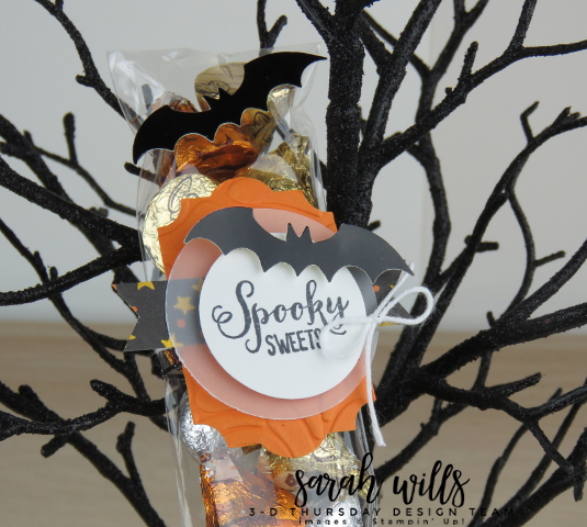 Stampin-Up-3D-Thursday-Cello-Bag-Topper-Spooky-Sweets-Bundle-Bats-Punch-Kids-Halloween-Treat-Toil-Trouble-Idea-Sarah-Wills-Sarahsinkspot-Stampinup-149973-149974-Topper2