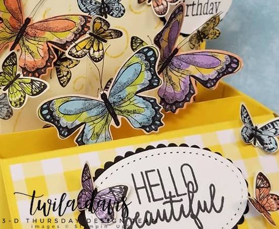 Stampin-Up-2019-Occasions-Catalog-Butterfly-Gala-Botanical-Butterfly-DSP-Saleabration-Sab-Box-Card-Gingham-Sarah-Wills-Sarahsinkspot-Stampinup-2