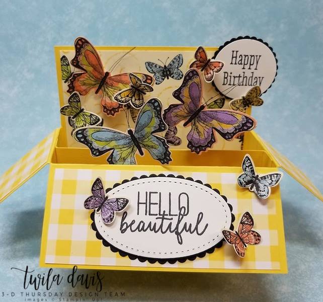 Stampin-Up-2019-Occasions-Catalog-Butterfly-Gala-Botanical-Butterfly-DSP-Saleabration-Sab-Box-Card-Gingham-Sarah-Wills-Sarahsinkspot-Stampinup-3