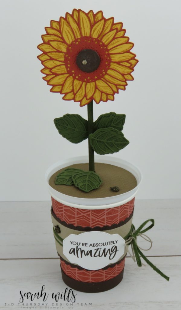 3-D Thursday is here with a bright and fun Sunflower in a Mini Coffee