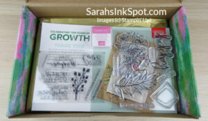 Stampin' Up! Paper Pumpkin Ten Years of Growth Kit March 2023