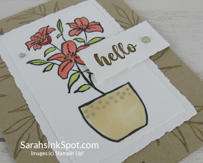 Stampin' Up! Paper Pumpkin Ten Years of Growth Free Stamp Set Hello Card March 2023