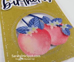 Stampin' Up! Blossom Wishes Card Kit Kits Collection