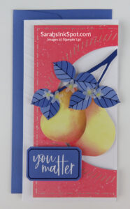 Stampin' Up! Blossom Wishes Card Kit Kits Collection