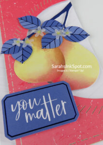 Stampin' Up! Blossom Wishes Card Kit Kits Collection
