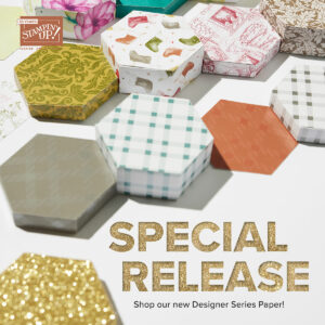 Stampin' Up! Special Release Designer Series Paper DSP