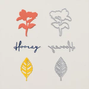 Stampin' Up! Paper Pumpkin Every Celebration Dies Add-on