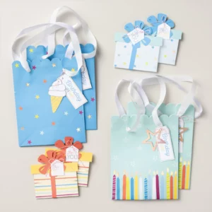 Stampin' Up! Online Exclusives Kits Collection Birthday Bash Gift Bag Holder Kit
