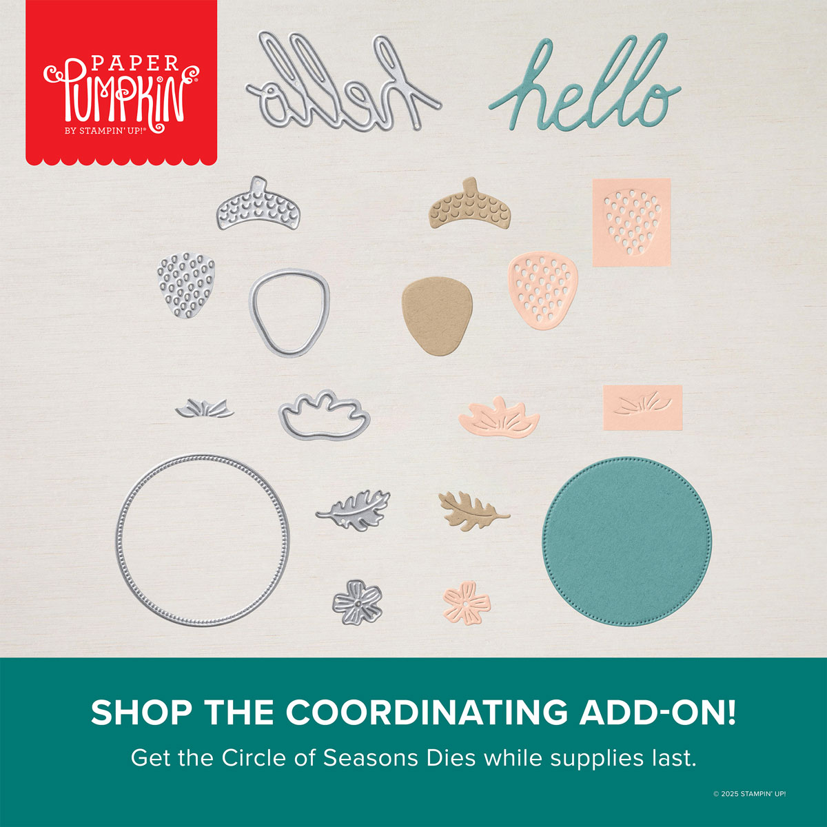 Stampin' Up! Circle of Seasons Dies Paper Pumpkin Add-On July through September 2025