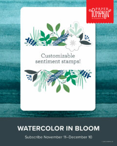Stampin' Up! December 2025 Paper Pumpkin Kit Watercolor In Bloom