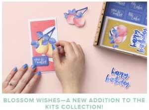 Stampin' Up Kits Collection Blossom Wishes