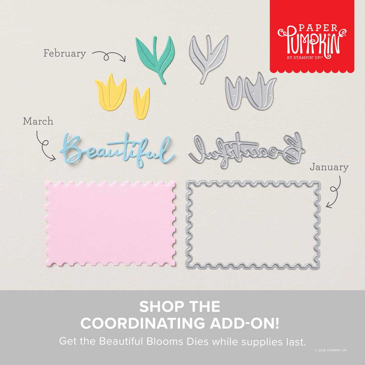 Stampin' Up! Beautiful Blooms Dies Paper Pumpkin Add-On January through March 2026